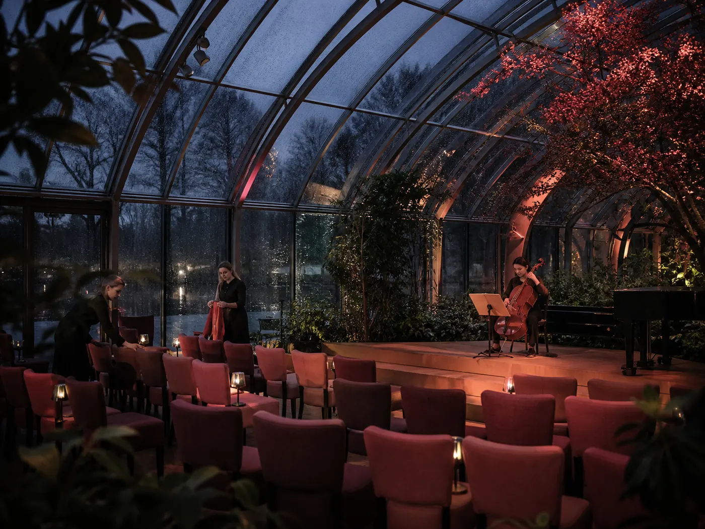 Kleine performancesalon met een cellist in een glazen wintertuin